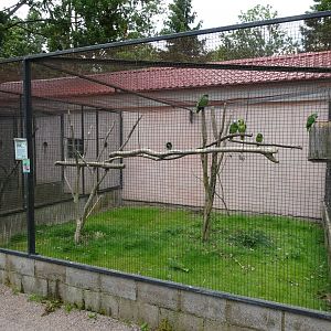 Helsingborg Djurpark - Parrot aviary #1
