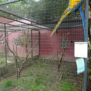 Helsingborg Djurpark - Parrot aviary #4