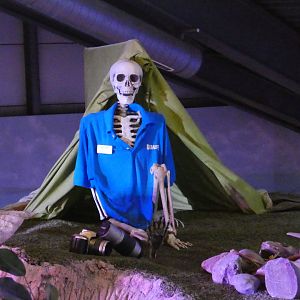 Decoration in aquarium