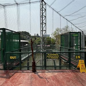 Glass Bottom Floor Entrance Area - Jakarta Bird Land