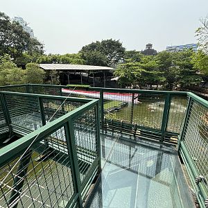 Glass Bottom Floor - Jakarta Bird Land