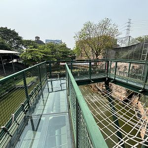 Glass Bottom Floor - Jakarta Bird Land