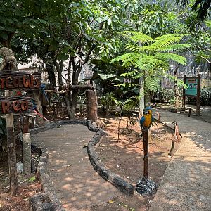 Macaws + Pelicans - Jakarta Bird Land