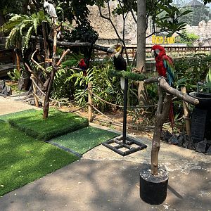 Bird Handling Area (extra fee) - Jakarta Bird Land