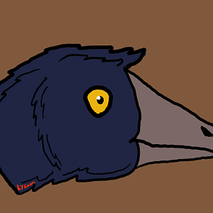 Dinovember Day 6: Game Changer: Archaeopteryx