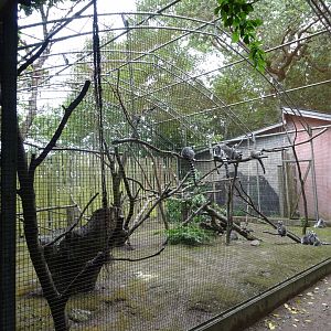 Helsingborg Djurpark - Lemur exhibit