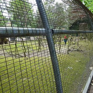 Helsingborg Djurpark - Free-flight aviary
