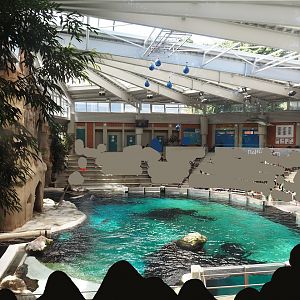 Dolphinarium, 2024-06-08