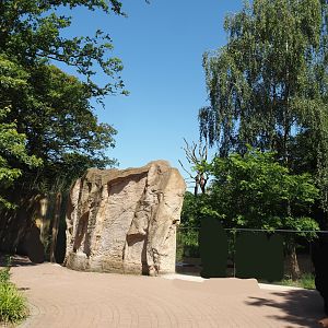 Amur tiger exhibit and viewing areas, 2024-06-08