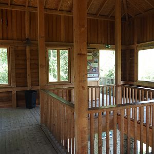 Upper level of Amur tiger viewing area, 2024-06-08