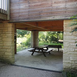 Lower level of Amur tiger viewing area, 2024-06-08