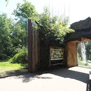 Viewing windows into Amur tiger exhibits, 2024-06-08