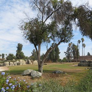 Part of Elephant Exhibit