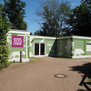 Zoo school, 2024-06-08