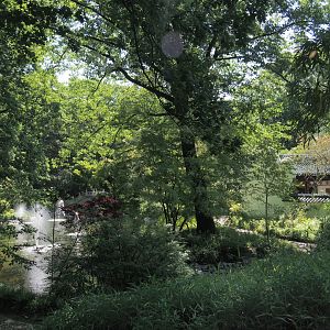 Chinese garden, 2024-06-08