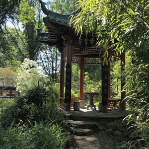 Chinese garden pavilion, 2024-06-08