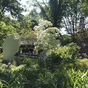 Chinese garden with pavilions, 2024-06-08
