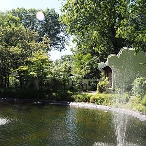 Chinese garden, 2024-06-08