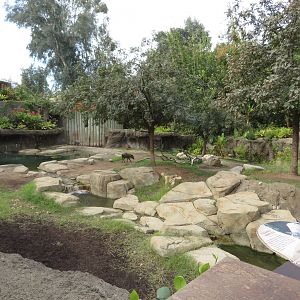 Babirusa-Tapir Exhibit