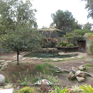 Babirusa-Tapir Exhibit