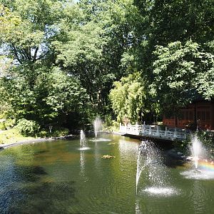 Chinese garden, 2024-06-08