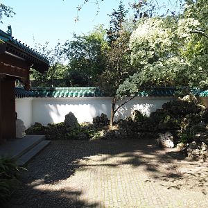 Chinese walled garden and gate, 2024-06-08