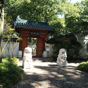 Chinese garden gate, 2024-06-08