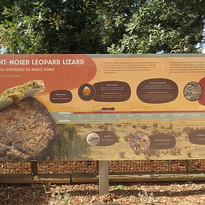 Education Signage for Leopard Lizard
