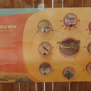 Education Signage for Leopard Lizard
