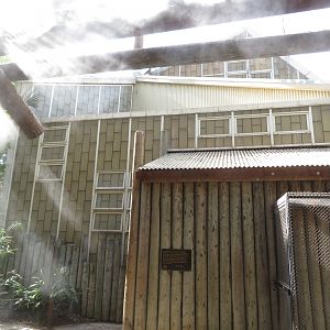 Old Rainforest Building