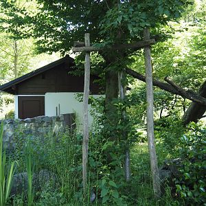Red panda exhibit, 2024-06-08