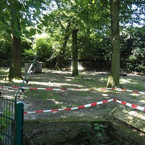Michie's tufted deer exhibit, 2024-06-08