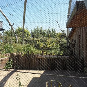 Outback aviary - Interior viewing area, 2024-06-08