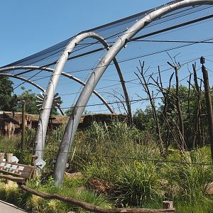Outback aviary with Yellow-footed rock wallabies and birds, 2024-06-08