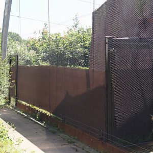 Yellow-footed rock wallaby holding area, 2024-06-08