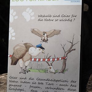 Vultures as the health police of the wild signage, 2024-06-08