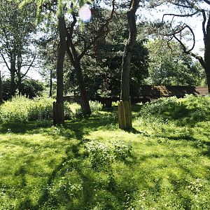 Agile wallaby, Eastern wallaroo and Swamp wallaby exhibit, 2024-06-08