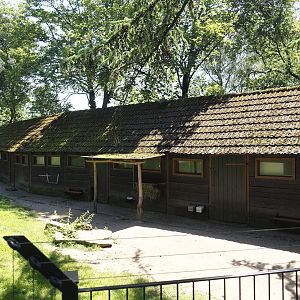 Agile wallaby, Eastern wallaroo and Swamp wallaby barn, 2024-06-08