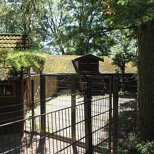 Yard between the mixed macropod and giant anteater and lowland tapir exhibit, 2024-06-08
