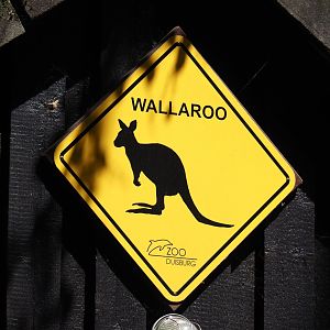 Wallaroo road sign, 2024-06-08