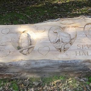 Wood carving, 5th October 2024