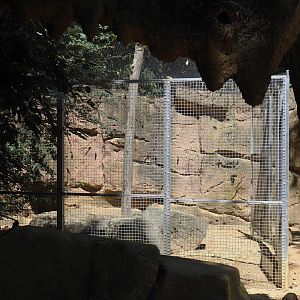 Meerkat separation area, 2024-06-08