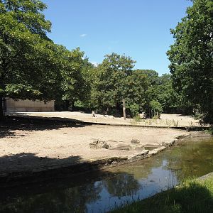Parts of Ankole-Watusi cattle and Damara zebra paddocks, 2024-06-08