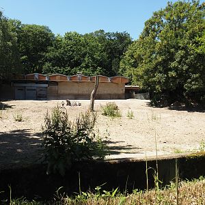 Damara zebra paddock, 2024-06-08