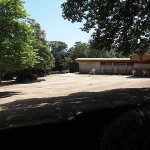 Damara zebra paddock, 2024-06-08