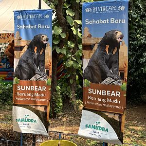 Sun Bear Exhibit Signs - New in 2023
