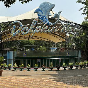 Dolphin Bay
