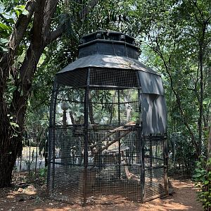 Cockatoo Aviary