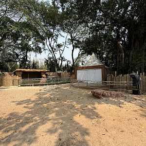 Alpaca + Agile Wallaby Exhibit