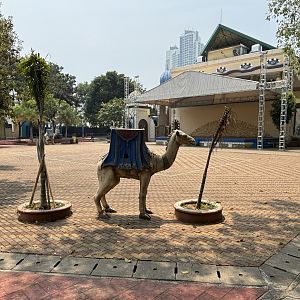 Dolphin Stadium Courtyard